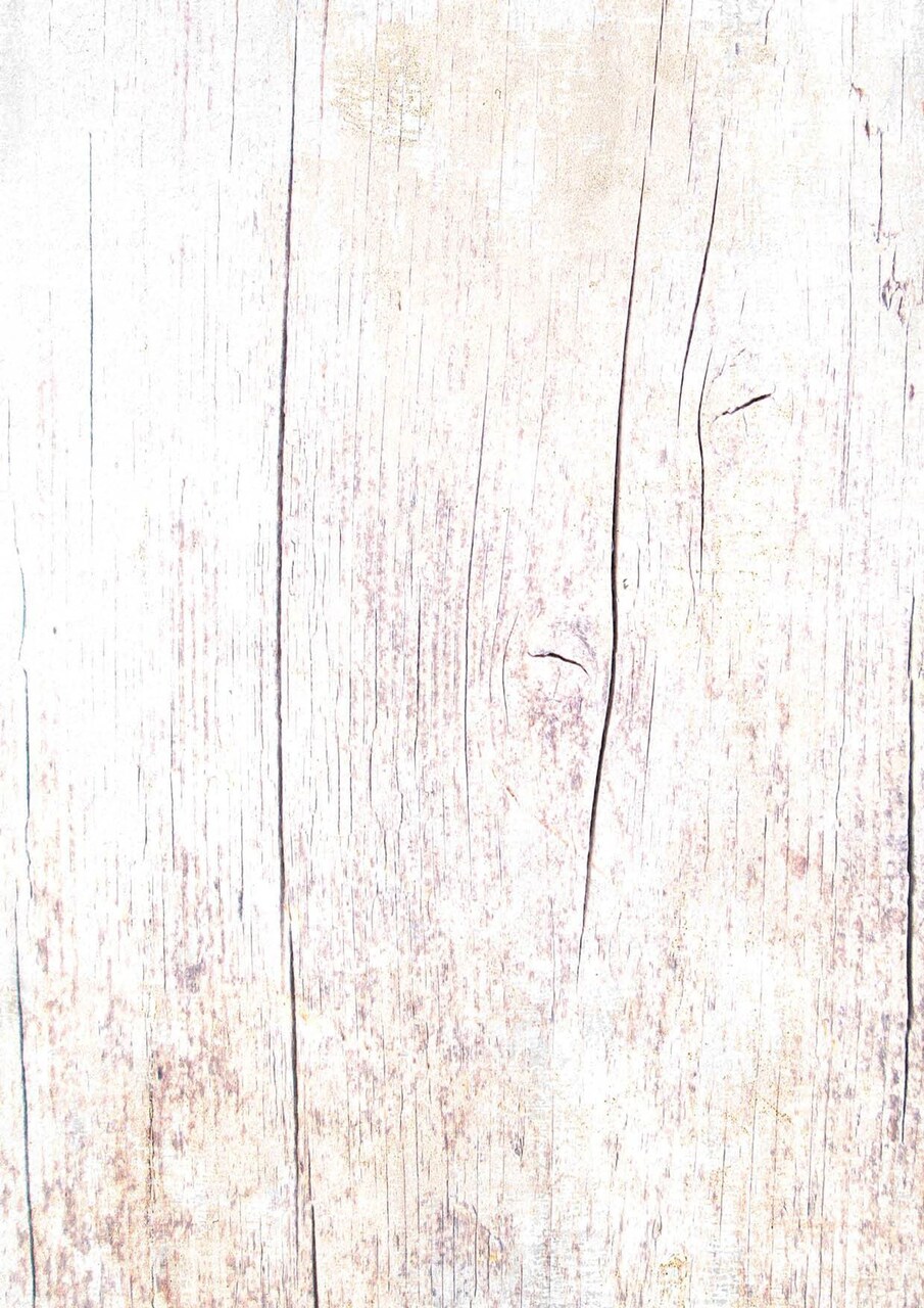 Studio Light BG Paper 170gr Celebrate New Beginnings 210x297mm nr.338